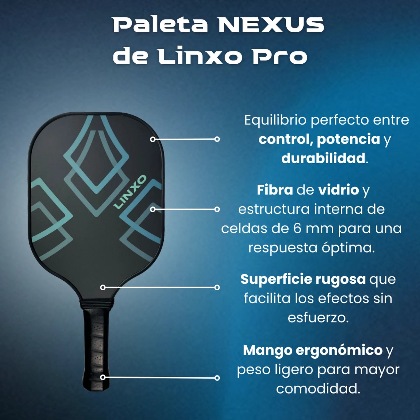 RAQUETA | PALETA DE PICKLEBALL NEXUS